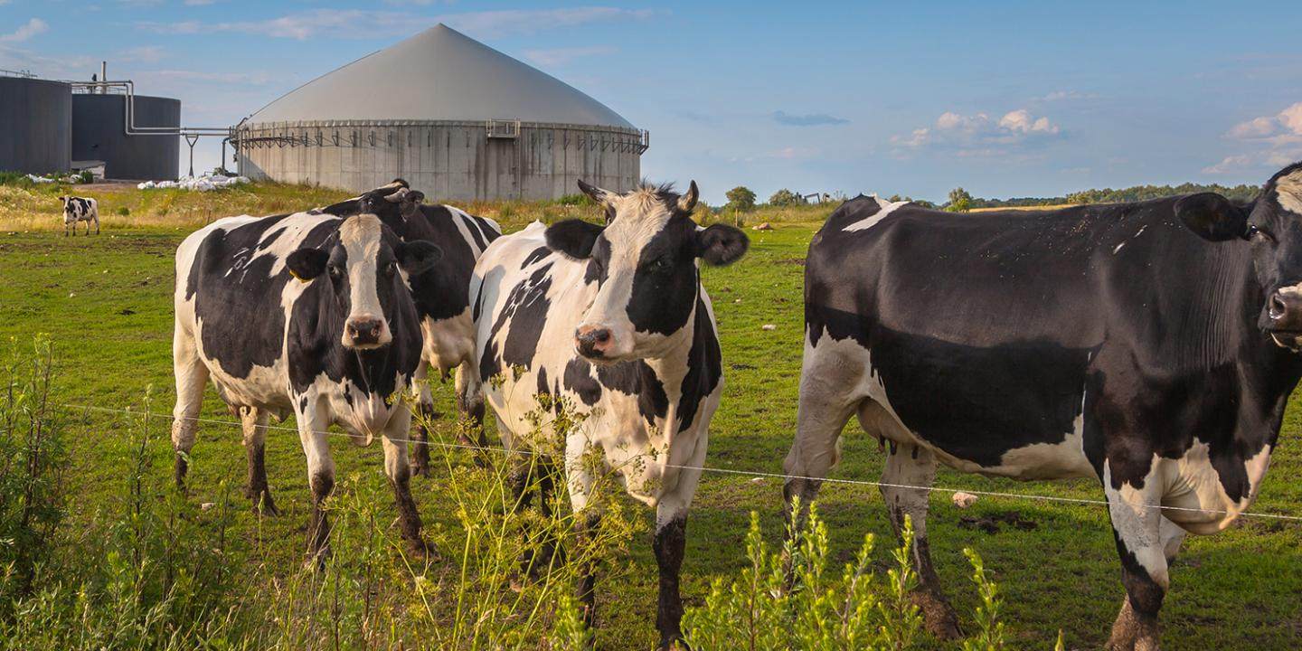 Energy transition: successful greengas intake | Nedmag B.V.